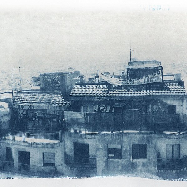 Freedom   / 2016 - cyanotype, 50*70 cm