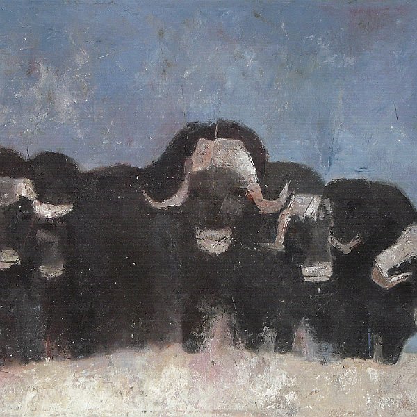 Moschusochsen  / 2010 - acrylic on canvas, 100*80 cm